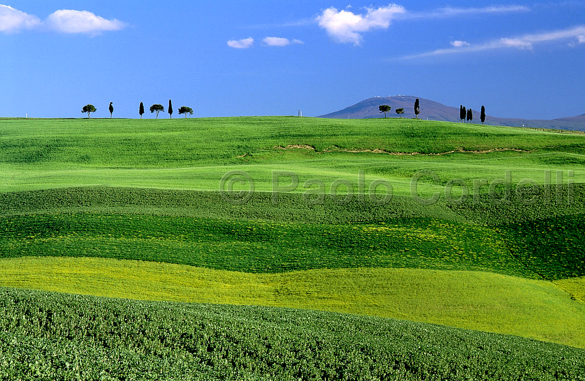 Hills, Tuscany, Italy
 (cod:Tuscany 30)